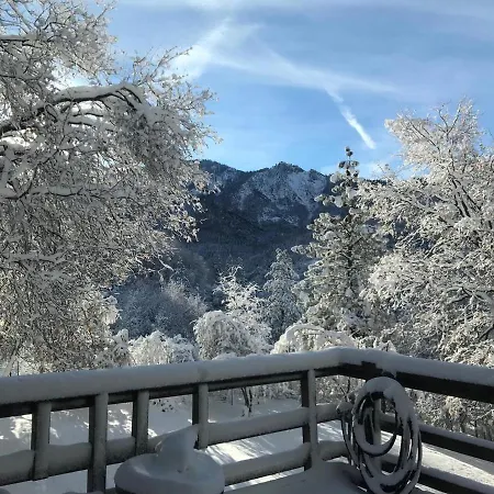 Hygge Haus Sequoia - Large Private Cabin W Views Ponderosa Extérieur photo
