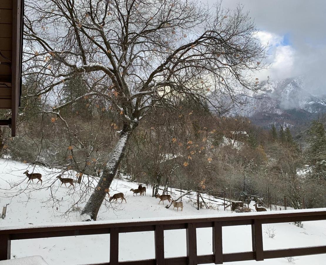 Hygge Haus Sequoia - Large Private W Views Chalet *
